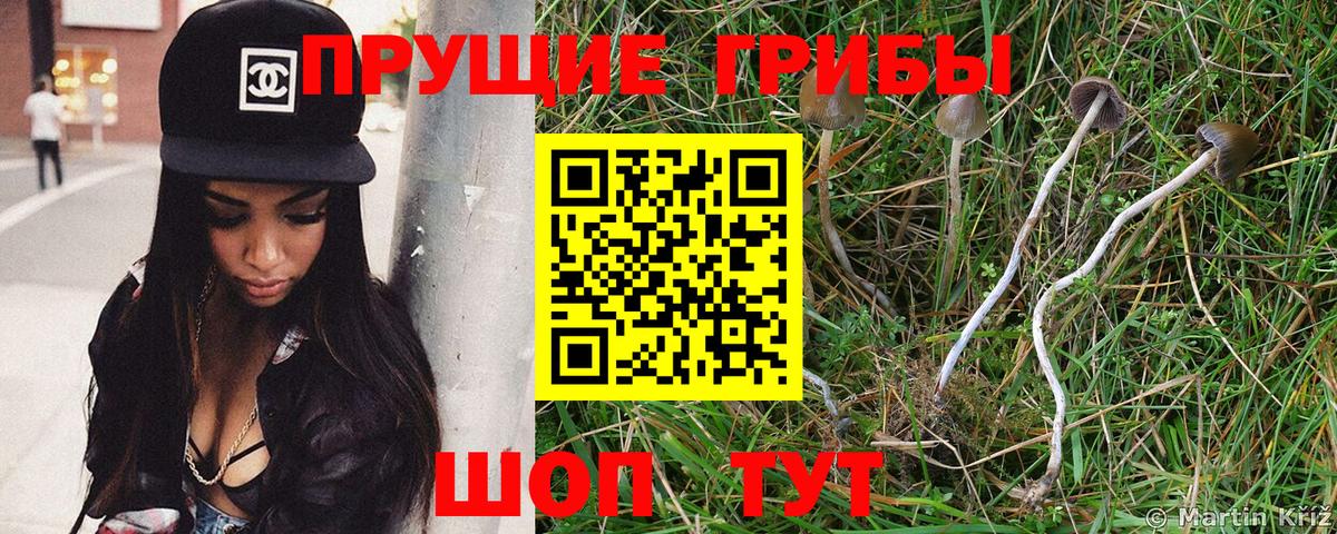Галлюциногенные грибы мухоморы  Вход с VPN  Азнакаево 